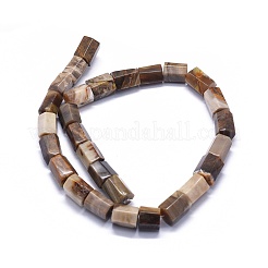 Chapelets de perles en bois pétrifié naturel&nbsp;G-K293-J02-E