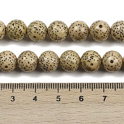 Натуральные бусины из семян рудракши бодхи WOOD-B010-C03-9mm