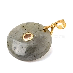 Pendentifs de labradorite naturelle&nbsp;GG-CBA260E-03G-14