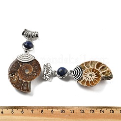Natürliche Lapislazuli Fossil Schnecke Anhänger&nbsp;G-F062-12
