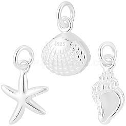 6 Stück 3 Stile Ozean 925 Sterling Silber Anhänger&nbsp;STER-BBC0009-57