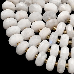 Бусины из натурального радужного лунного камня G-L642-J06-01