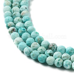 Бусы натуральная перуанская бирюза (яшма) G-J401-A01-01