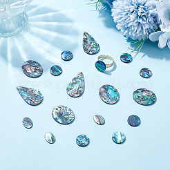 18 шт. 4 стиля натуральных кабошонов из ракушек пауа SHEL-WR0001-10