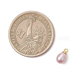 Натуральные культивированные пресноводные жемчужные рисовые подвески&nbsp;PALLOY-JF05124