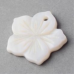 Подвески из морской оболочки SSHEL-Q296-15