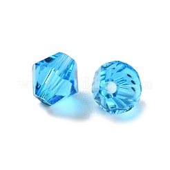 K9 Glas&nbsp;GLAA-R001-08-19