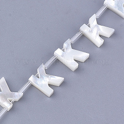 Бусины из морских раковин&nbsp;LS-X-SHEL-T012-60K