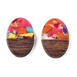 Подвески из прозрачной смолы и ореха&nbsp;RESI-T057-04L