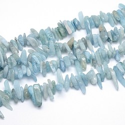 Natürliche Aquamarin Perlen Stränge, Nuggets, 9~22x4~10 mm, Bohrung: 1 mm, etwa 15.7 Zoll
