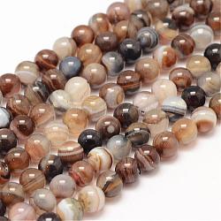 Chapelets de perles en agate rayée naturelle/agate à bandes, ronde, Grade a, teints et chauffée, café, 6mm, Trou: 1mm, Environ 62~63 pcs/chapelet, 14.5 pouce