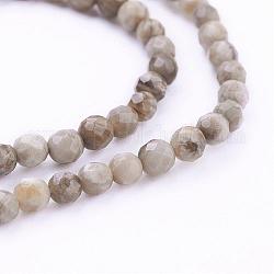 Chapelets de perles de feuille d'argent en jaspe naturel, ronde, facette, 4mm, Trou: 1mm, Environ 98 pcs/chapelet, 15.7 pouce (40 cm)