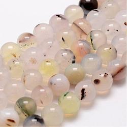 Brins de perles en agate dendritique naturelle, ronde, 8mm, Trou: 1mm, Environ 45 pcs/chapelet, 14 pouce