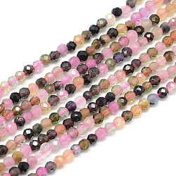 Chapelets de perles en tourmaline naturelle, facette, ronde, teinte, 3x2.5mm, Trou: 0.5mm, Environ 142 pcs/chapelet, 15.9 pouce