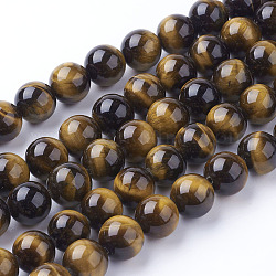 Chapelets de perles d'œil de tigre naturel, ronde, 10mm, Trou: 1mm, Environ 19 pcs/chapelet, 7.5 pouce