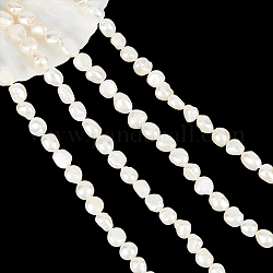 Nbeads 2 Strands Natural Cultured Freshwater Keshi Pearl Beads Strands, Baroque Pearls, Two Sides Polished, Seashell Color, 8~14x7~9x4~7mm, Hole: 0.8mm, about 34pcs/strand, 14.5 inch