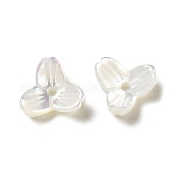 Perles de coquillage blanc naturel, fleur, fumée blanche, 8x8.5x3mm, Trou: 1.4mm