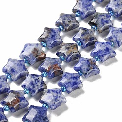 Perles de jaspe tache bleue naturelle, avec des perles de rocaille, étoiles du nord, 14~15.5x15~16x6.5~7mm, Trou: 1mm, Environ 24~25 pcs/chapelet, 15.55''~15.95'' (39.5~40.5 cm)