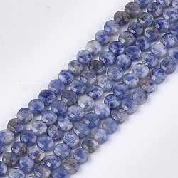 Fili di perle di diaspro macchia blu naturale, sfaccettato, rotondo e piatto, 6~6.5x3.5mm, Foro: 0.8 mm, circa 59~60pcs/filo, 14.9 pollice~15.1 pollici