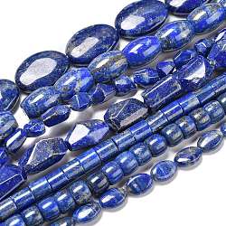 Chapelets de perles en lapis-lazuli naturel, formes mixtes, 8~18x8~12.6x6.5~25mm, Trou: 1mm, Environ 16~55 pcs/chapelet, 15.75 pouce (40 cm)