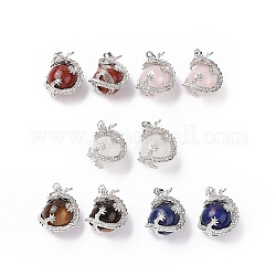 Mixed Natural Gemstone Pendants, with Platinum Plated Brass Findings, Dragon with Round Beads, 31x18mm, Hole: 4mm.