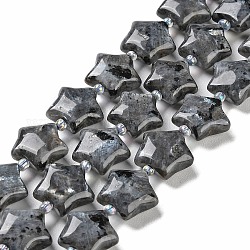 Natürliche Larvikit-Perlenstränge, mit Glasperlen, Stern, 14~15.5x15~16x6.5~7 mm, Bohrung: 1 mm, ca. 24~25 Stk. / Strang, 15.55''~15.95'' (39.5~40.5 cm)