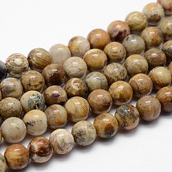 Natural Chrysanthemum Stone Beads Strands, Grade B, Round, 8mm, Hole: 1mm, about 48pcs/strands, 15.7inch