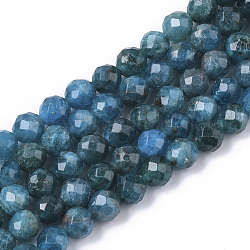 Natural Apatite Beads Strands, Faceted, Round, Grade A, 6mm, Hole: 0.9mm, about 60~61pcs/strand, 14.96 inch(38cm)