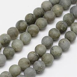 Natural Labradorite Frosted Bead Strands, Round, 6mm, Hole: 1mm, about 64pcs/strand, 15.4 inch