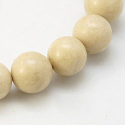 Perles en fossile naturelle, ronde, 12mm, Trou: 1mm, environ 32 pcs/ brin