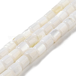 Eau douce naturelle de coquillage perles brins, colonne, neige, 4~5.5x5mm, Trou: 0.6mm, Environ 74~75 pcs/chapelet, 14.76~14.96 pouce (37.5~38 cm)