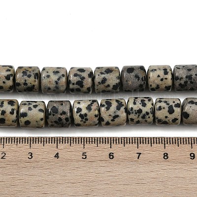 Природные яшмы далматин бисер нитей G-G275-D18-10x10mm-1