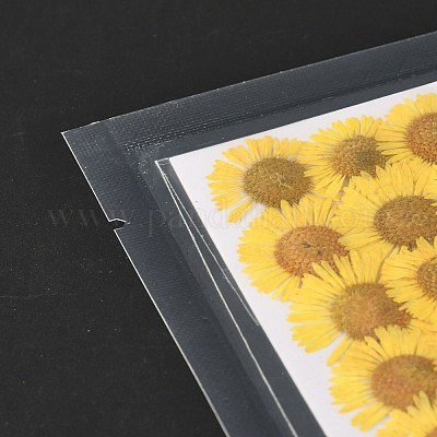 Центавр иберика тиснение сушеный цветок DIY-K032-65A-1