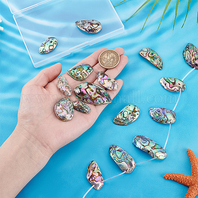 2 нити натуральных бусин из ракушек пауа SSHEL-PH0001-39-1