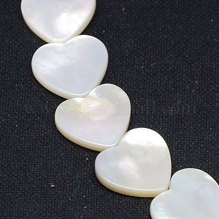 Natural White Shell Beads SSHEL-I008-11-1