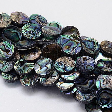 Natural Paua Shell Beads Strands SSHEL-J047-15B-1