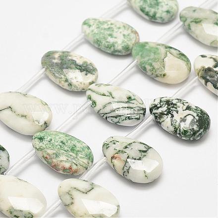 Natural Tree Agate Beads Strands G-L463-04-1