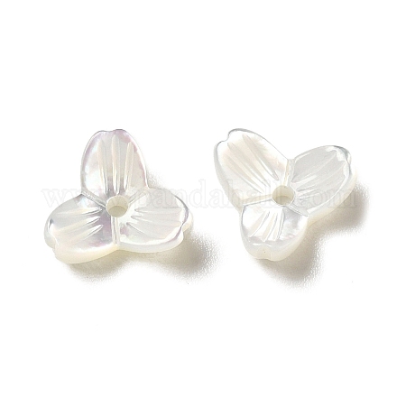 Natürlichen weißen Muschelperlen SSHEL-M022-09-1