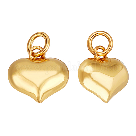 2 шт. 925 подвески из стерлингового серебра STER-BC0002-83B-G-1