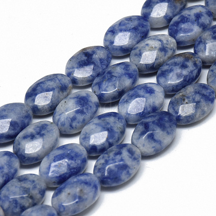 Brins de perles de jaspe de tache bleue naturelle G-T070-8x12mm-06-1