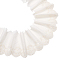 5 Yards Cotton Lace Ribbon, Floral Lace Trim, for Sewing Decoration Craft, Floral White, 5-1/2~6-1/4 inch(140~160mm)