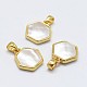 Natural White Shell Mother of Pearl Shell Charms KK-E755-14D-G-1