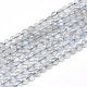 Chapelets de perles en labradorite naturelle  G-D0003-A52-1