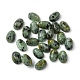Natural African Turquoise(Jasper) Cabochons G-A094-01A-03-1