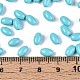 Выпечка краска стеклянные бусины SEED-T007-15M-1-4