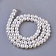 Natural Cultured Freshwater Pearl Beads Strands PEAR-E004-14-2
