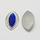Horse Eye Resin Cabochons CRES-R126A-236-1