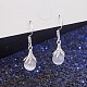 Imitation Agate Round Beads Dangle Earrings for Girl Women EJEW-BB46313-C-1