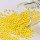 11/0 Grade A Baking Paint Glass Seed Beads X-SEED-N001-A-1001-1