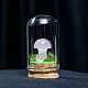 Glass Dome Cover with Natural Rose Quartz Mushroom Inside BOHO-PW0001-085D-1